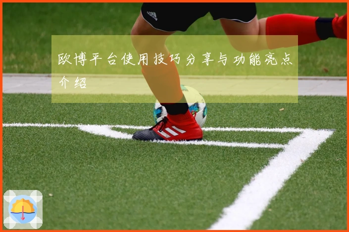 欧博平台使用技巧分享与功能亮点介绍