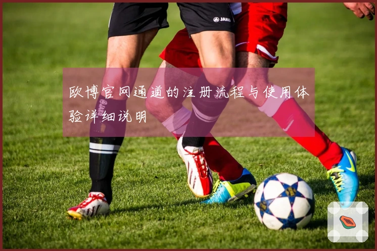 欧博官网通道的注册流程与使用体验详细说明