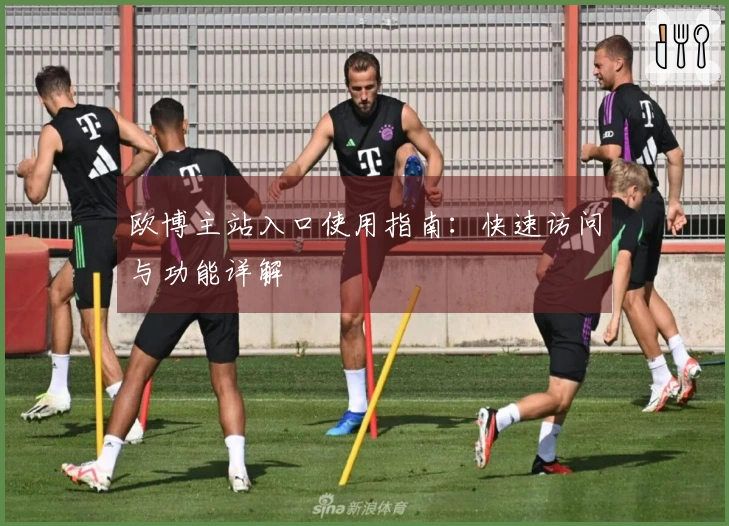 欧博主站入口使用指南：快速访问与功能详解